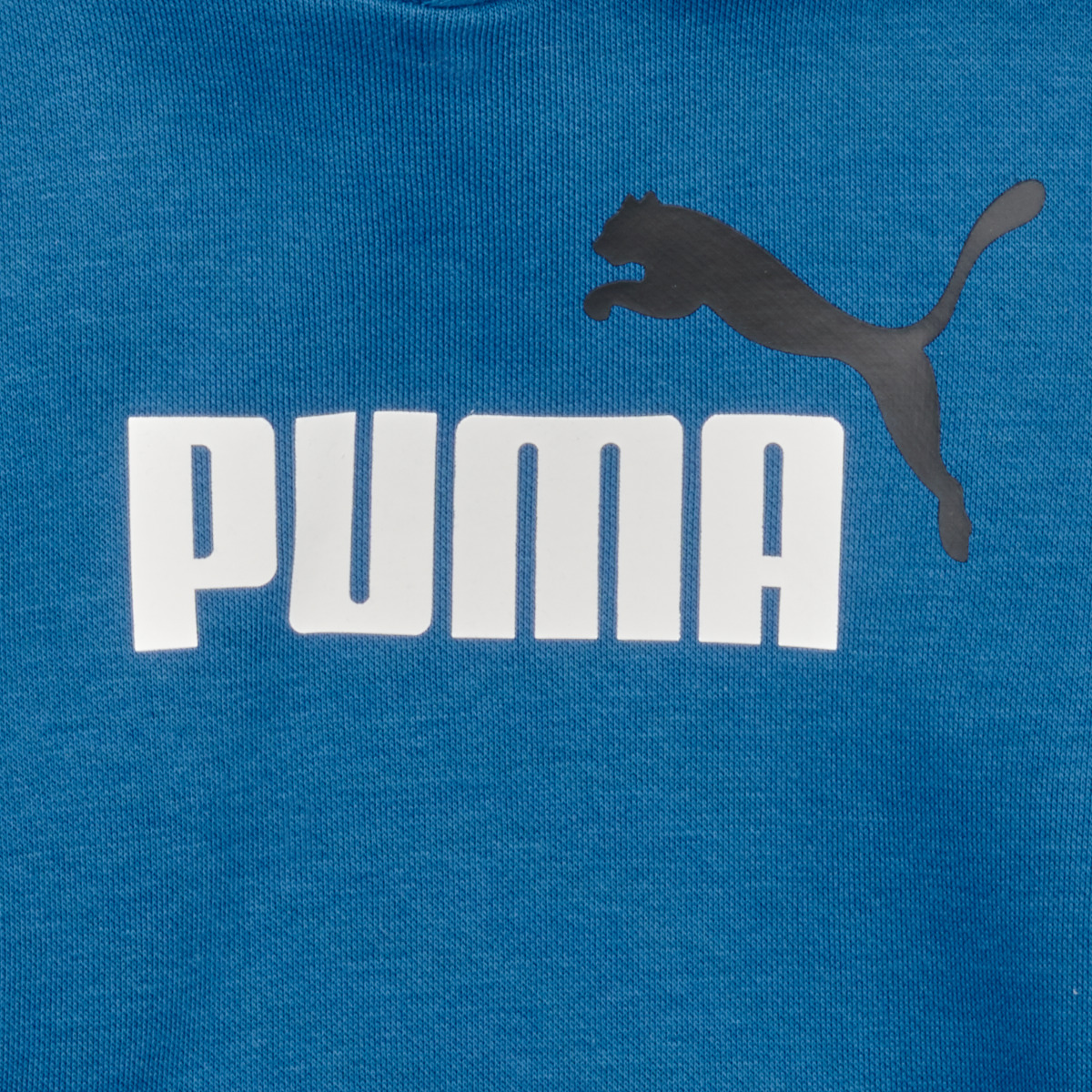 Puma Bleu ESS 2 COL BIG LOGO HOODIE tOSmkhga