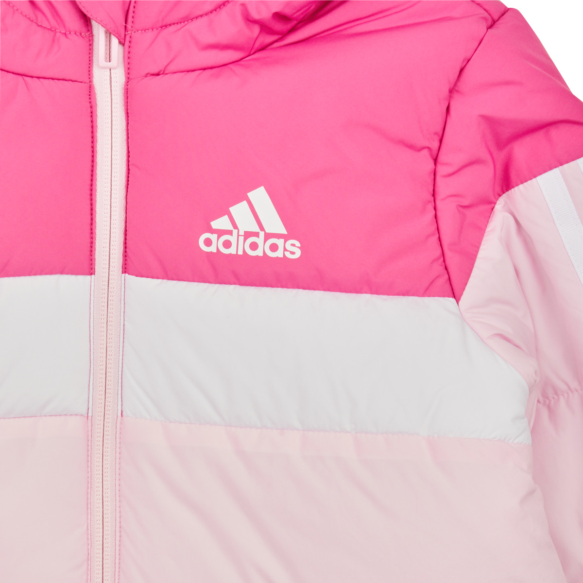 Adidas Sportswear Fuchsia / Multicolore LK PAD JKT qkvNuMYu